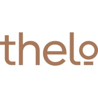 Thelo Group logo - Similar company to Luselo Technologies