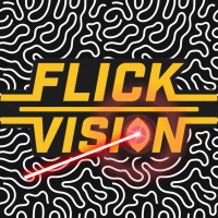 Flickvision