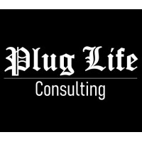 Plug Life Consulting Ltd logo - Similar company to Charge Saint
