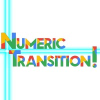 Numeric-Transition! logo - Similar company to Routens Evolution