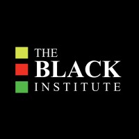 The Black Institute logo - Similar company to Lifted Lodging