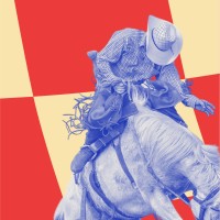 Rodeo logo - Similar company to Ternwheel Inc.