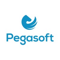 Pegasoft logo - Similar company to Itaca S.R.L.