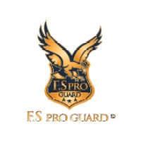 fs pro guard logo - Similar company to O2B Services