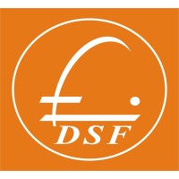 DS Flights logo - Similar company to Dl Street