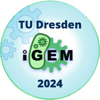 iGEM TU Dresden 2024 logo - Similar company to Drip (Tud Igem 2023)