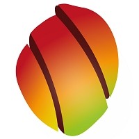 Mango ADV logo - Similar company to Neuralya