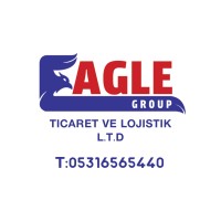 Eagle Group Ticaret ve Lojistik L.T.D logo - Similar company to Behem Strateji̇k Yöneti̇m Ve Diş Ti̇caret A.Ş.