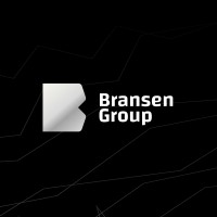 Bransen Group logo - Similar company to Master Systems Bv
