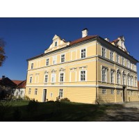 Bohemia Property management logo - Similar company to Sparksona