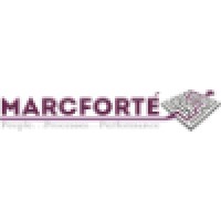 Marcforte Business Consulting logo - Similar company to Lorache Consulting
