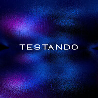 Testando GmbH logo - Similar company to Haycon-B.A.