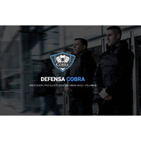 DefensaCobra logo - Similar company to Segaer