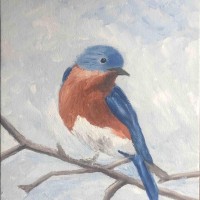 Blue Bird Hill, Llc