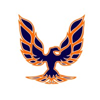 Burning Goose Aerodesign UFPR logo - Similar company to Team Singularity