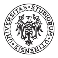 Fare Srl - Università Degli Studi Di Udine