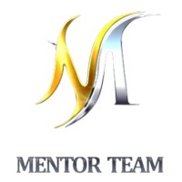Mentor Team Singapore Pte. Ltd. logo - Similar company to Mentor Team