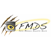 FMDS logo - Similar company to Fmds Consulting