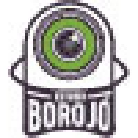 Borojó Estudio logo - Similar company to Monte Animation