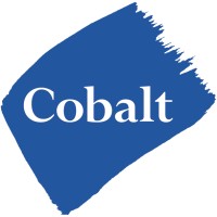 Cobalt Park logo - Similar company to Bho Hardware