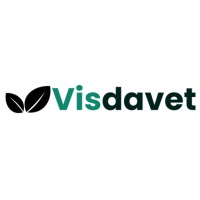 Visdavet logo - Similar company to Visda