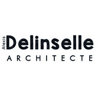 Delinselle Architecte logo - Similar company to Nexsys