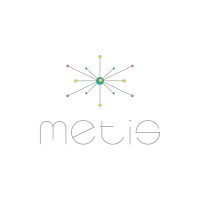 Metis Srl logo - Similar company to Mssolutions.It