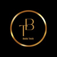 Budu Tech logo - Similar company to Budu
