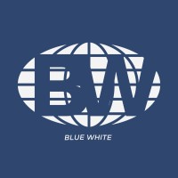 Blue Lab logo - Similar company to Knode.