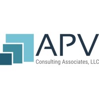 APV Consulting Associates, LLC logo - Similar company to Lithnet