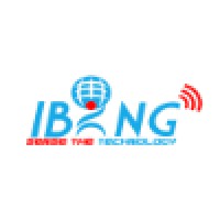 IBing Software Solutions Private Limited logo - Similar company to Freelancer Web/ Fronted Developer