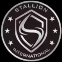 Stallion International Group LLC logo - Similar company to Sonnenberg Power Solutions Llc