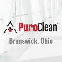 PuroClean Professional Services logo - Similar company to Ascend To Win