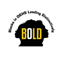 BOLD logo - Similar company to Field1St