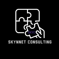 Skynnet Consulting logo - Similar company to Dimajeff