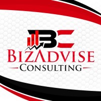 BizAdvise Consulting logo - Similar company to Bizztech Digital