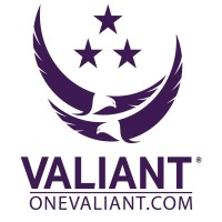 Valiant Integrated Services logo - Similar company to Olgoonik Corporation