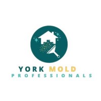 Mold Remediation York PA Solutions logo - Similar company to Officeforce - York, Hanover, Lancaster & Reading Pa