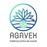 AGAVEX logo - Similar company to Delphos 360