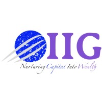 Investment Incubators Global logo - Similar company to Vision Plus Wealth