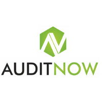 AuditNow logo - Similar company to Teknoteb