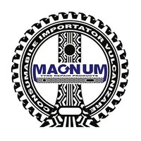 Magnum Romania logo - Similar company to Tralemix