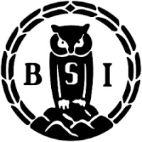 BSI Volleyball logo - Similar company to Study Bergen