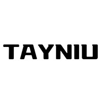 Tayniu car charging solutions logo - Similar company to Goodthings Phl