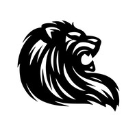 Raion Connect logo - Similar company to Boqnet