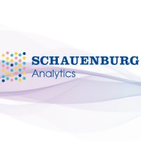 Schauenburg Analytics Deutschland logo - Similar company to Appeal Engineering