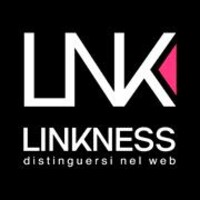 Linkness logo - Similar company to Arzanà