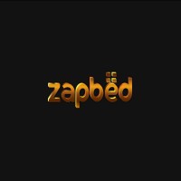 Zapbed logo - Similar company to Futuro Technical Services Llc