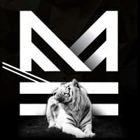 Mantle Holdings logo - Similar company to Silent Code
