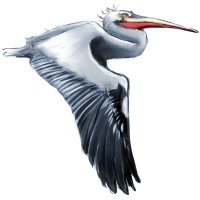 Liquid Design Aquatic Consulting Company logo - Similar company to Hub Aquatic Solutions Inc.